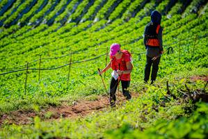 BIB: 
                            <button type="button" onclick="openModal(19161631)" class="btn btn-primary btn-sm float-right btn-popup" data-toggle="modal" data-target=".modal-high-quality">
                        <i class="fas fa-shopping-cart"></i> Add to Cart
                    </button>
                                            <button type="button" onclick="isThisMe(19161631, true)" class="btn btn-success btn-sm float-right btn-popup btn-isme hidden" data-toggle="tooltip" data-placement="bottom" title="นี่คือรูปของคุณใช่ไหม คลิกที่นี่เพื่อเอาเข้าอัลบั้ม">
                        <i class="fas fa-plus"></i> Add to album
                    </button>
                    <button type="button" onclick="isThisMe(19161631, false)" class="btn btn-warning btn-sm float-right btn-popup btn-isnotme hidden">
                        <i class="fas fa-ban"></i> Remove from album
                    </button>